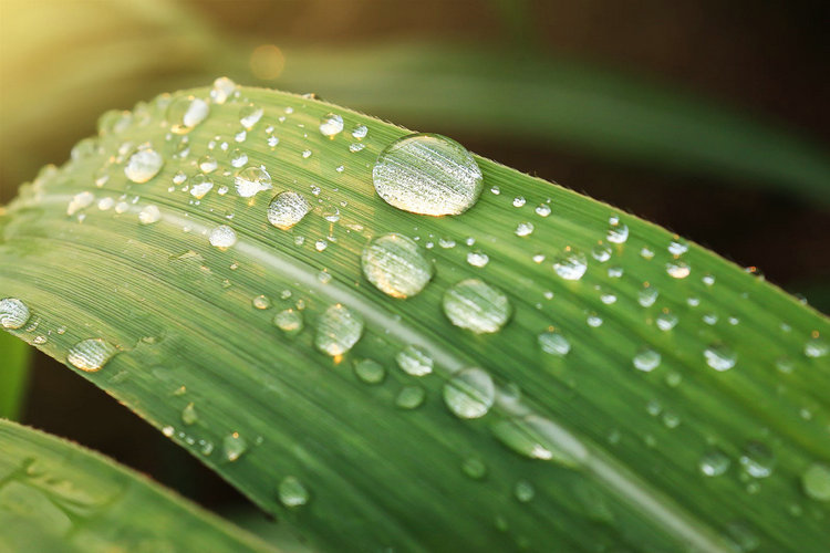 臺(tái)式氨氮測(cè)定儀