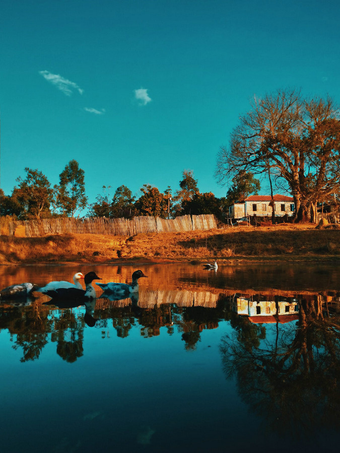 水質(zhì)檢測